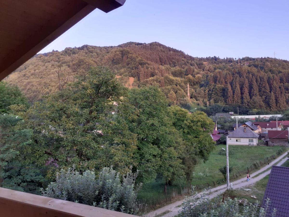 Casa Mara Viseu De Sus Hotel Kültér fotó