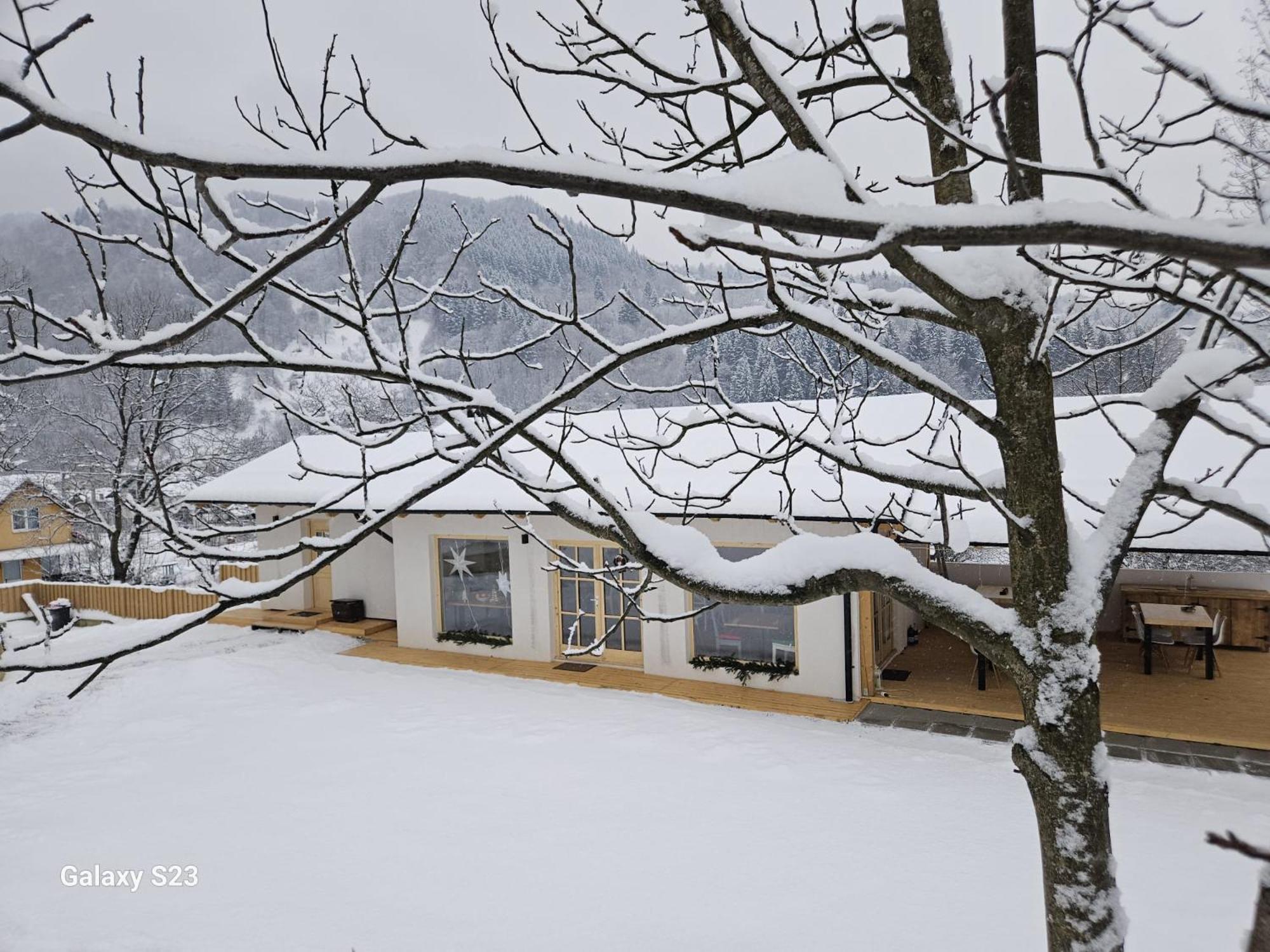Casa Mara Viseu De Sus Hotel Kültér fotó