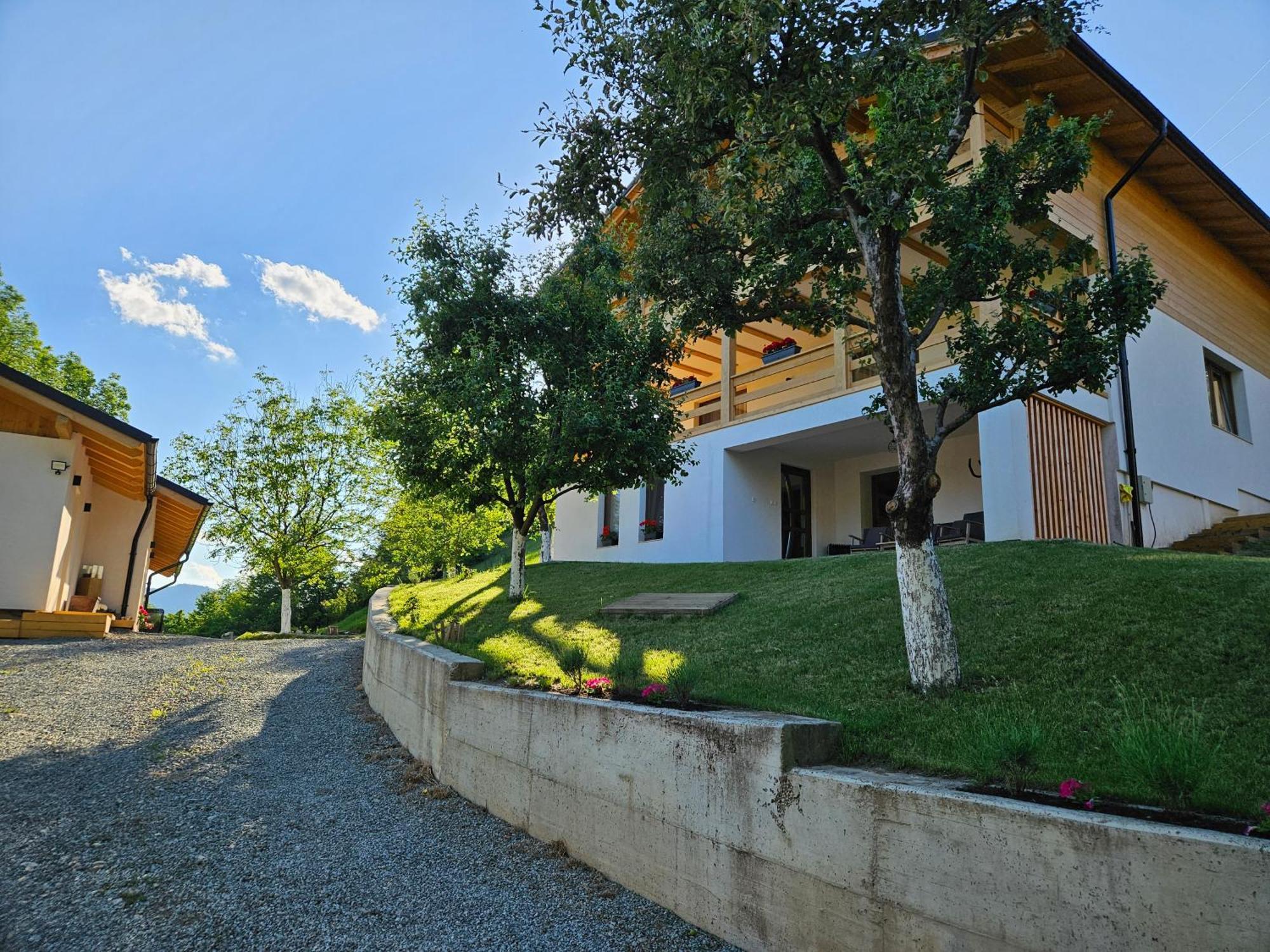 Casa Mara Viseu De Sus Hotel Kültér fotó