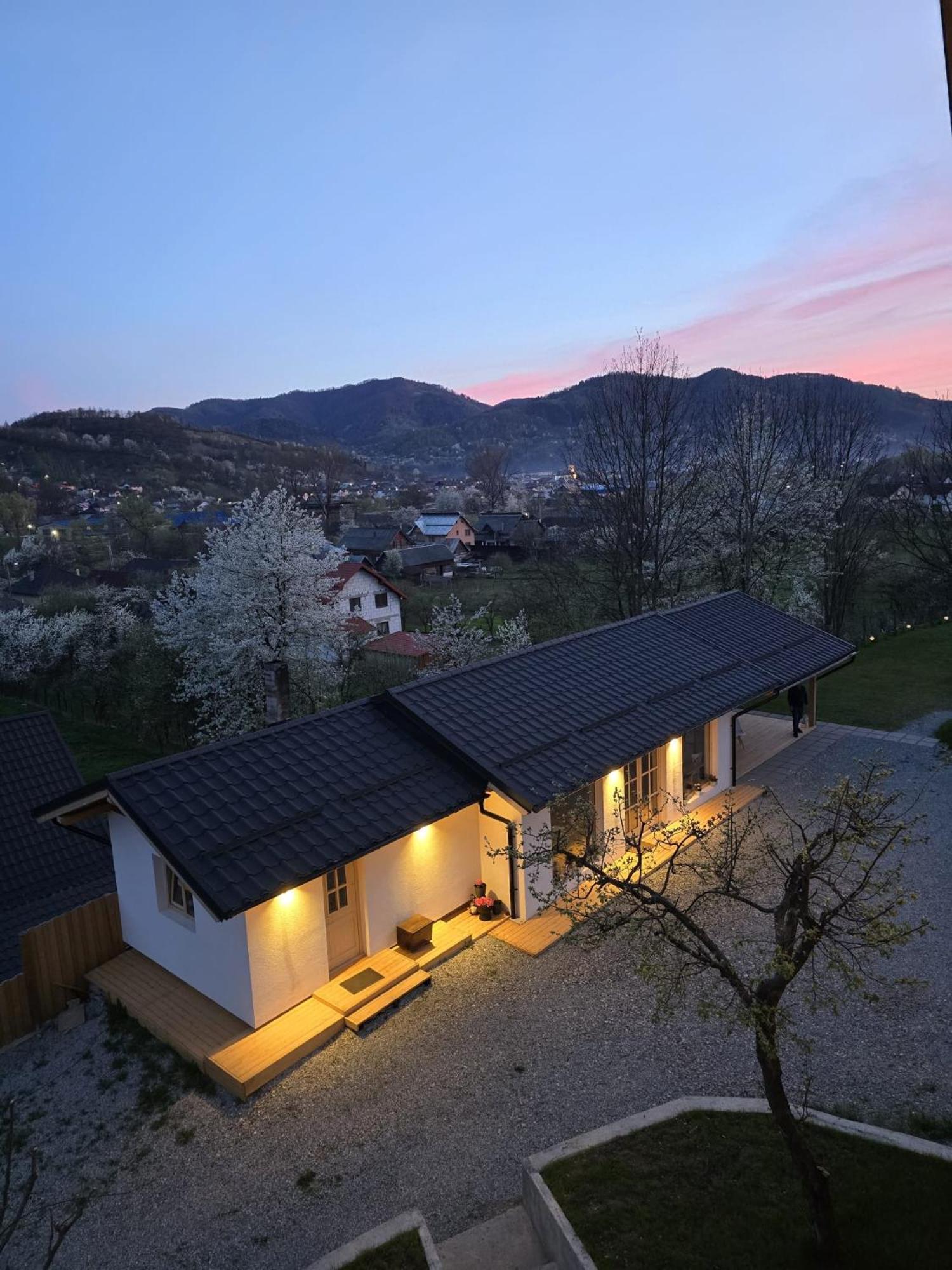 Casa Mara Viseu De Sus Hotel Kültér fotó